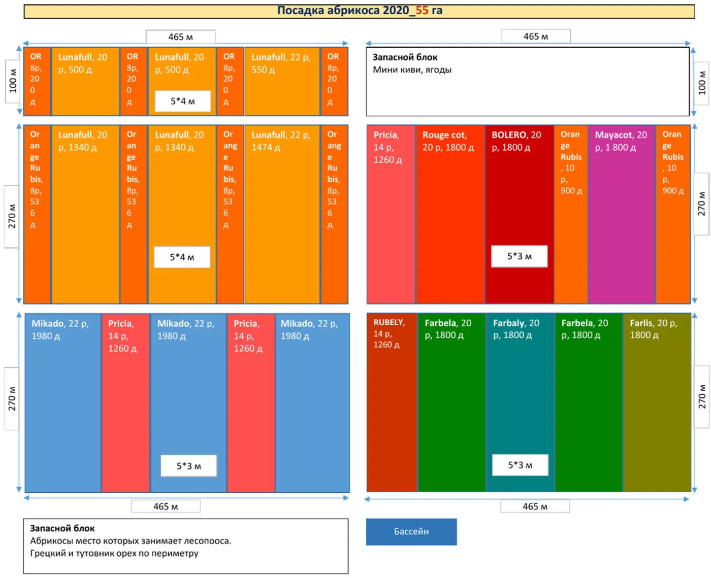 План посадки абрикосового сада КулашБагы — 55 га, 11 сортов